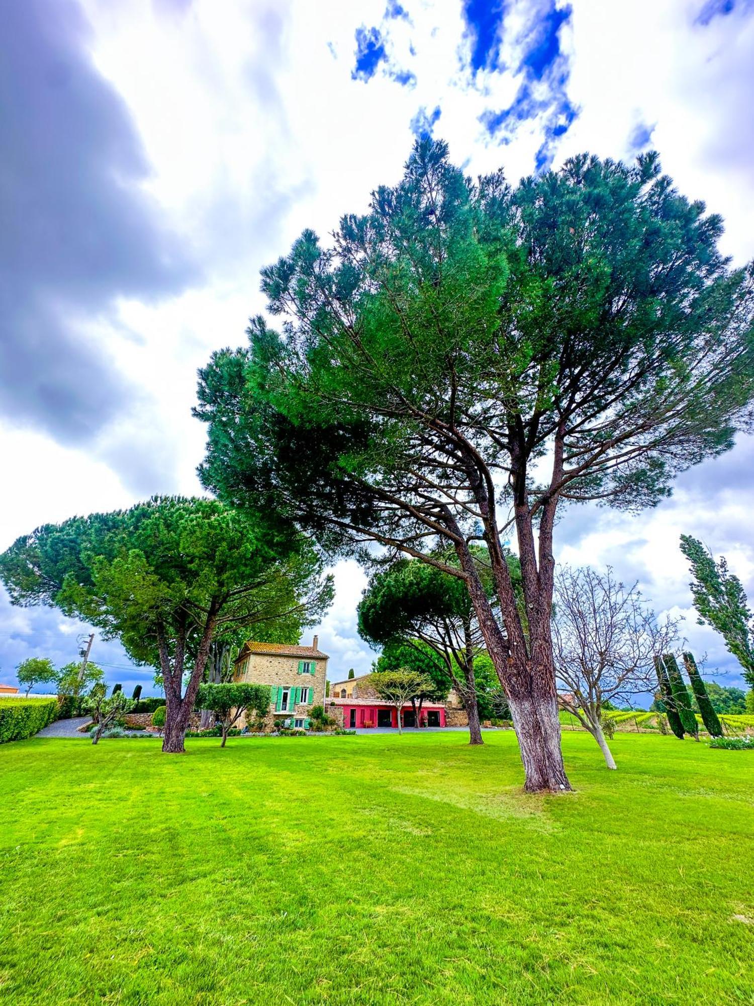 Domaine La Mouline ペズナ エクステリア 写真