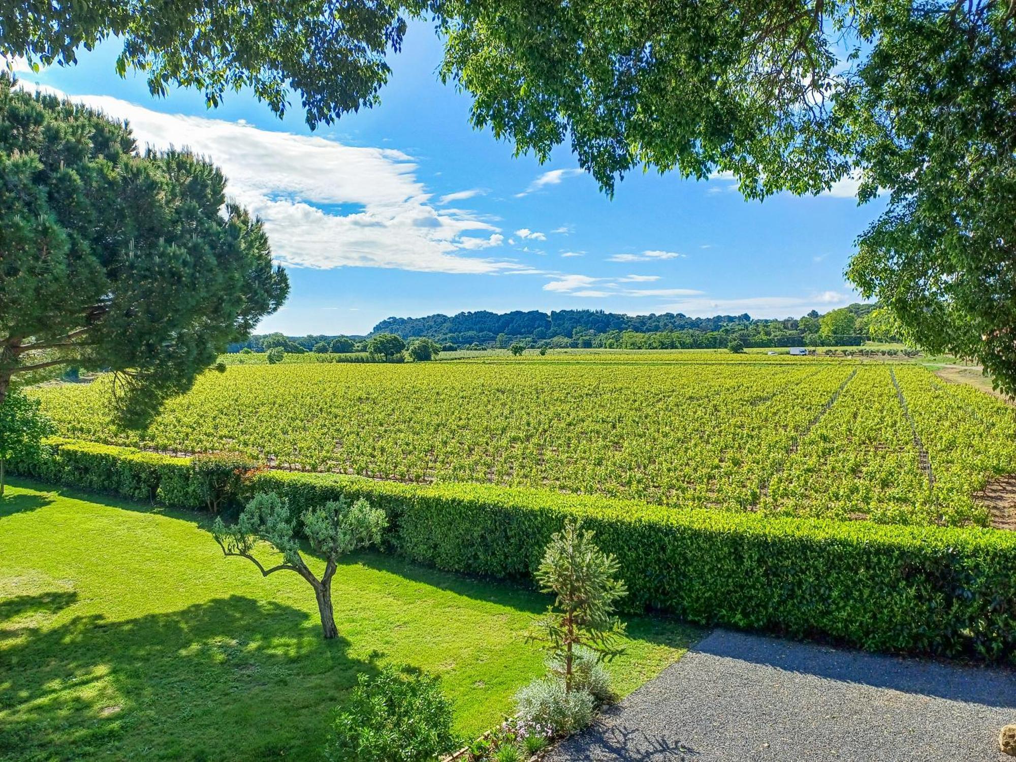 Domaine La Mouline ペズナ エクステリア 写真