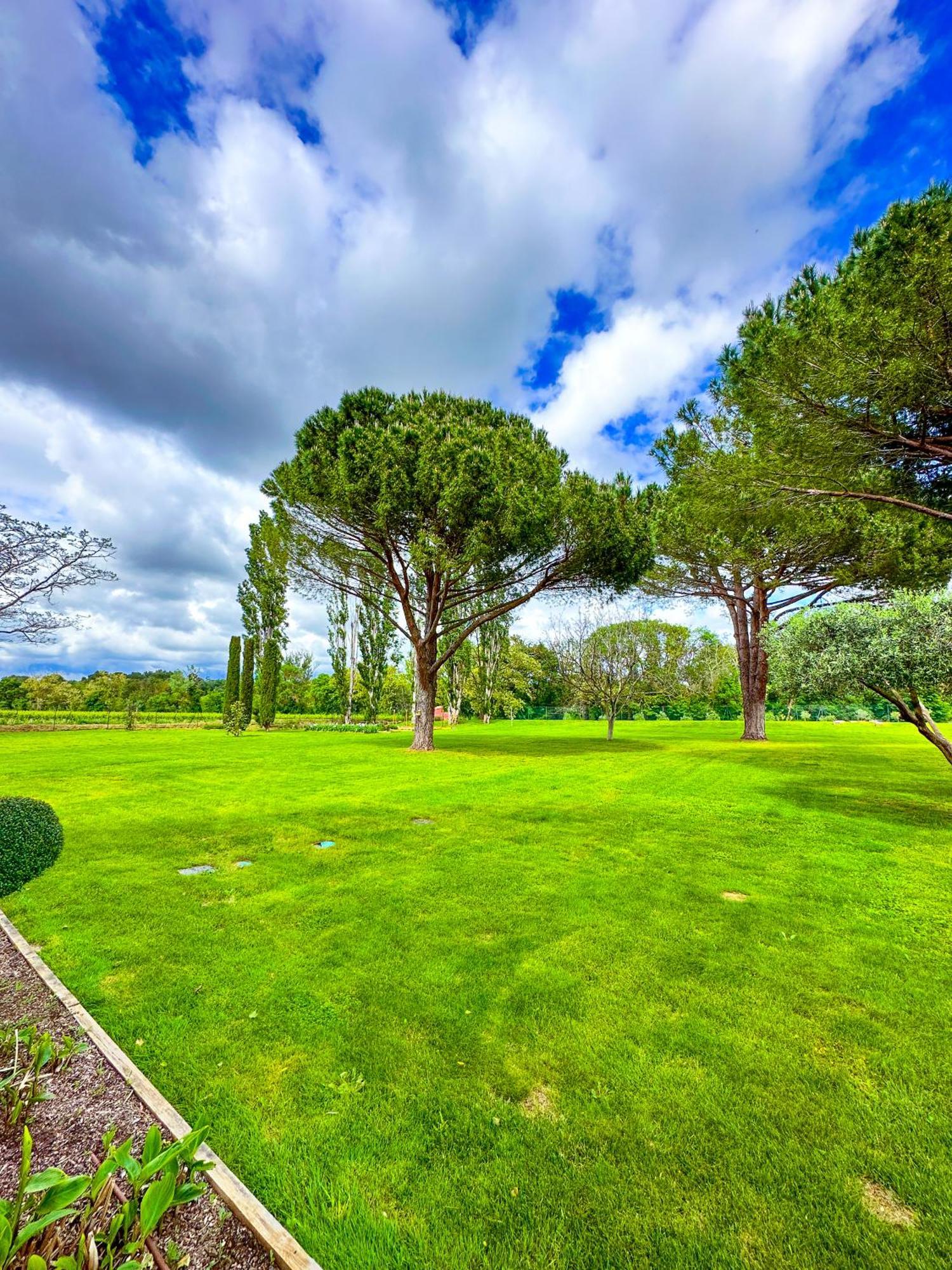 Domaine La Mouline ペズナ エクステリア 写真